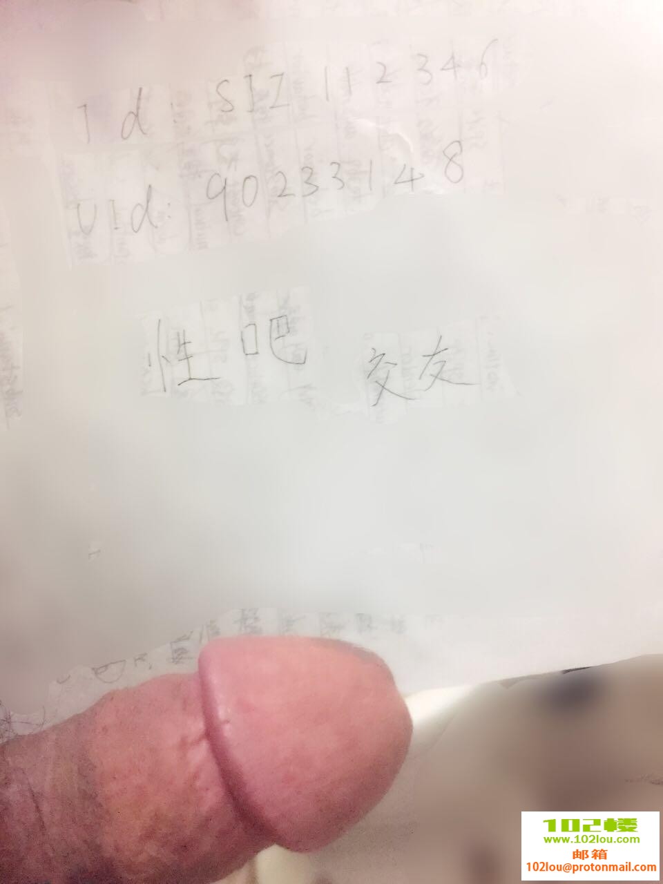 b23f7de70ee176a1f560b569cb682208.jpg